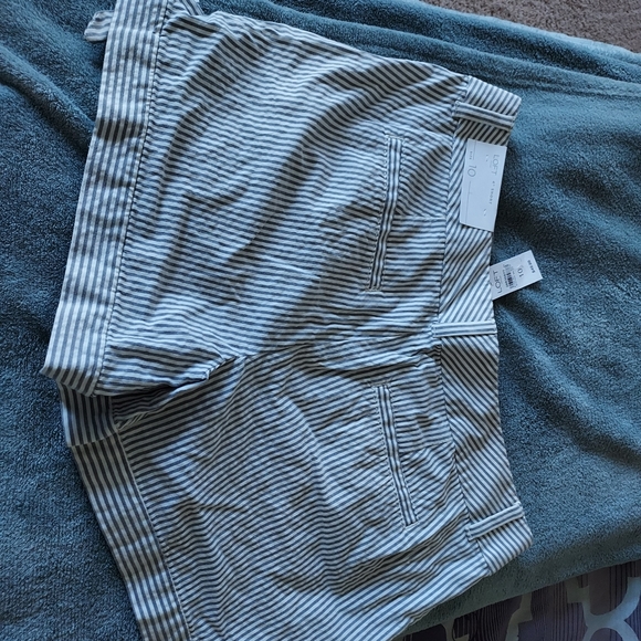BRAND NEW Loft 4" Gray and White Striped Shorts - Picture 2 of 4